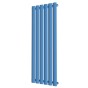 Grzejnik pionowy pokojowy Rene 100 x 35 mały.jpg