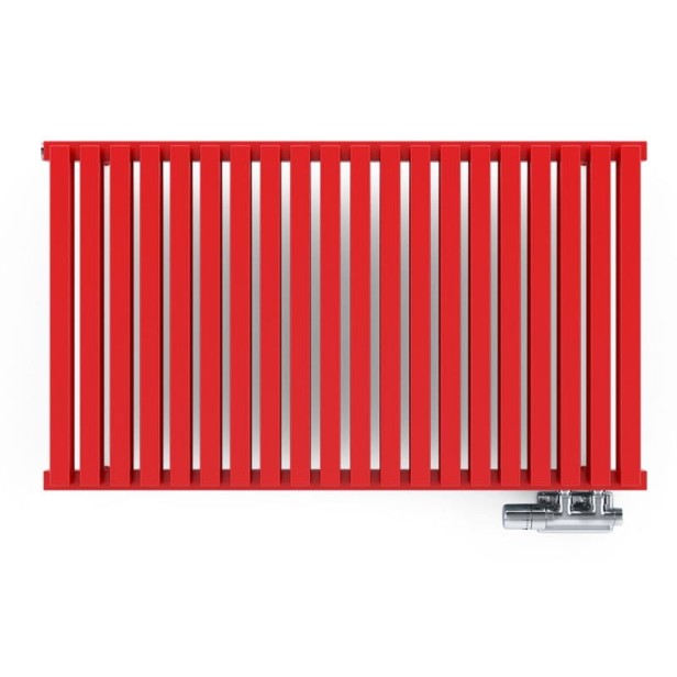 nemo zdj 2 — kopia.jpg