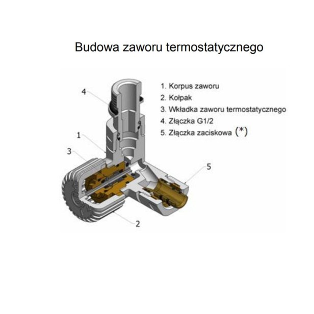 vision budowa rys1.jpg