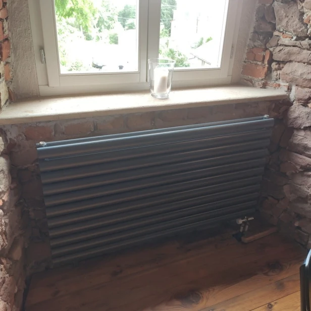 1 Rene 64 x 100 R7016 podwojne.jpg