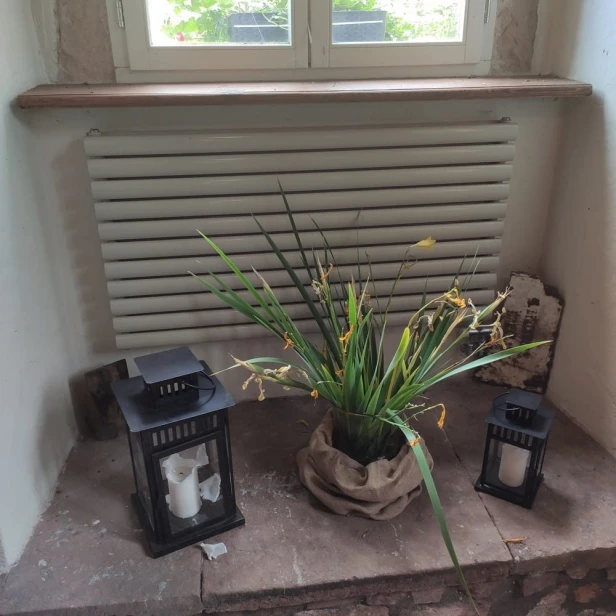 Grzejnik poziomy Rene 64 x 100 zdjęcie.jpg