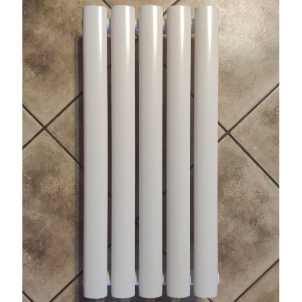 Grzejnik pionowy pokojowy  Rene 60 x 29 biały mały zdjęcie.jpg