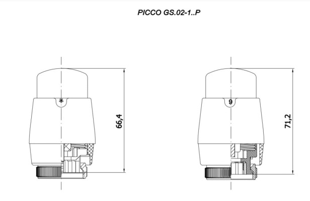 piccolo rys.jpg
