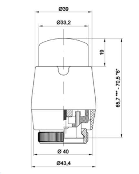 piccolo rys2 — kopia.jpg