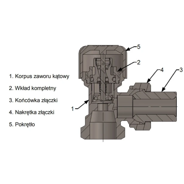 elegant katowy rys.jpg