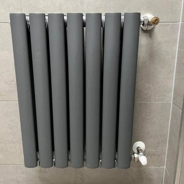 Grzejnik pionowy pokojowy Rene 60x41 R7016.jpg