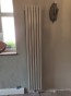 Grzejnik pionowy pokojowy Rene 180x35 biały pojedynczy .jpg